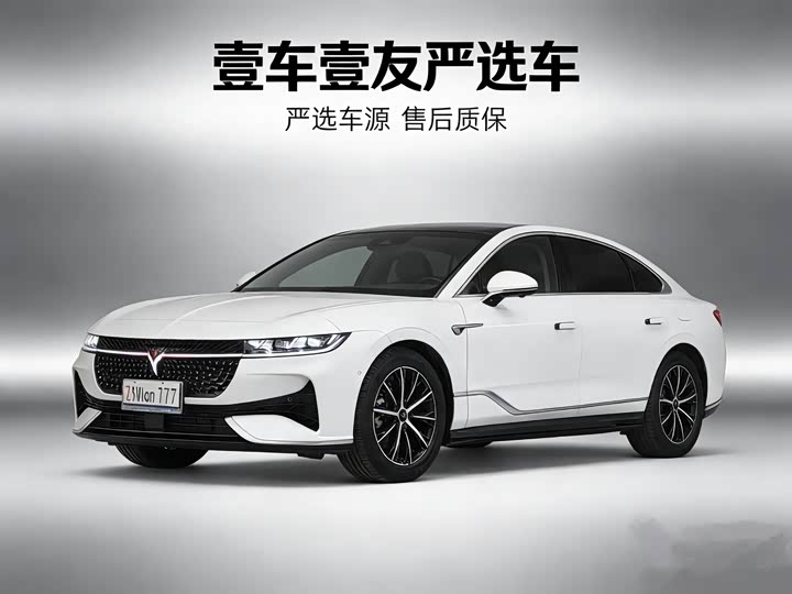 Фото 1 - Voyah Passion