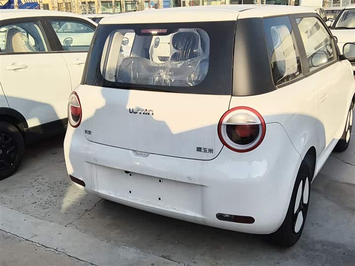 Фото 7 - Changan Qiyuan (Nevo) Lumin