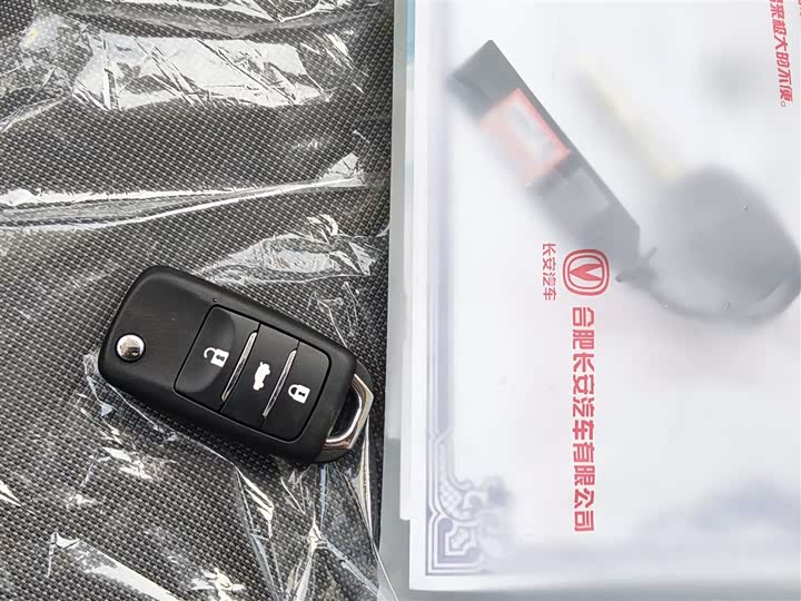 Фото 9 - Changan Qiyuan (Nevo) Lumin