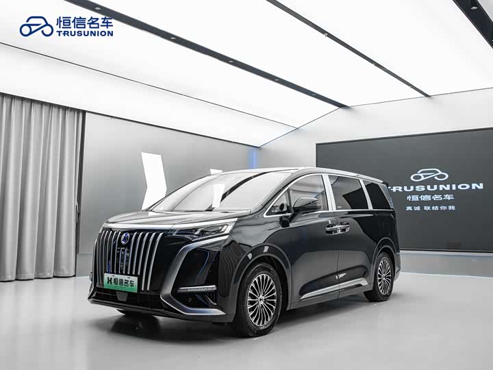 Фото 1 - Denza D9