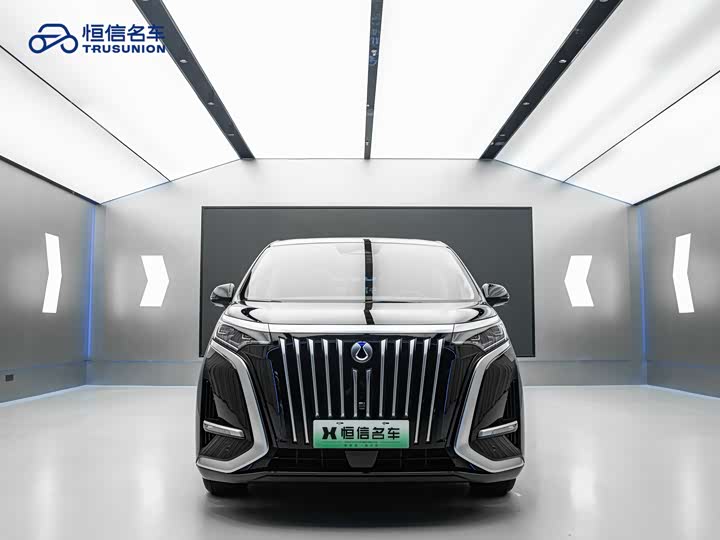 Фото 2 - Denza D9