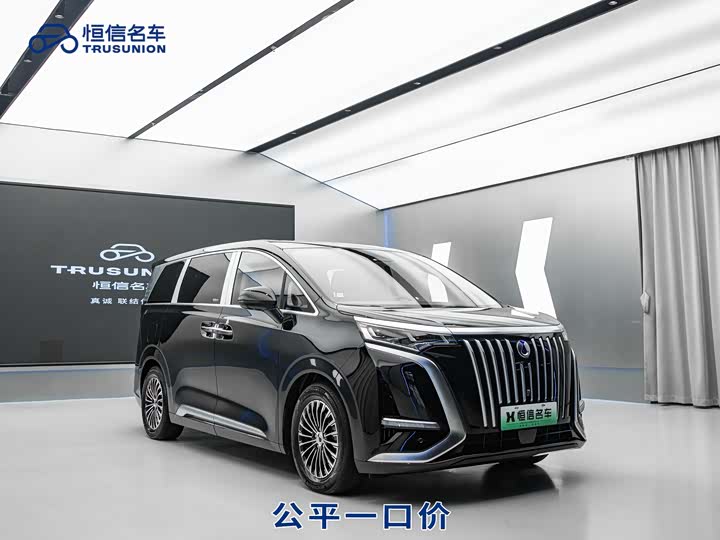 Фото 3 - Denza D9