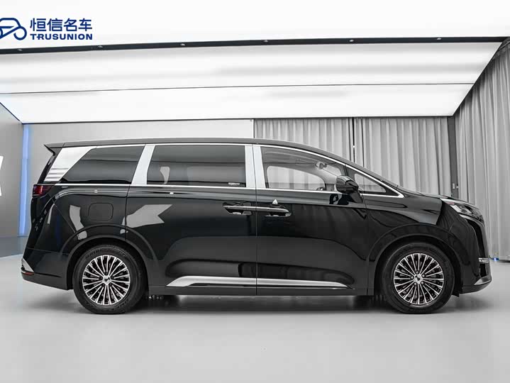 Фото 4 - Denza D9