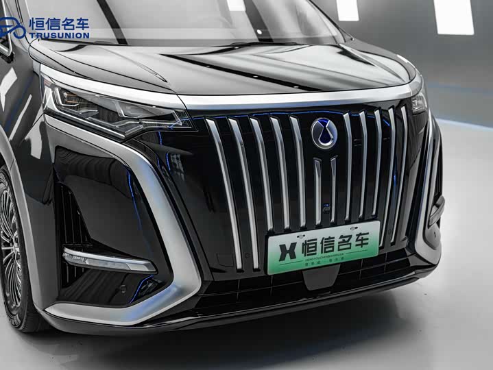 Фото 5 - Denza D9