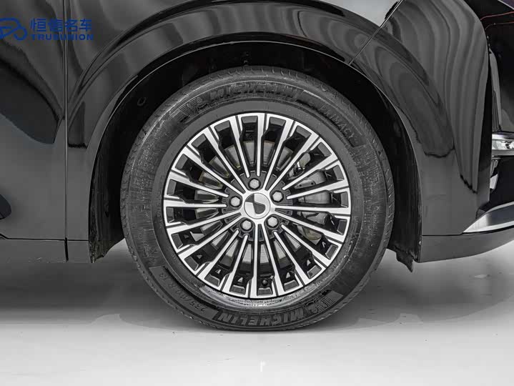 Фото 7 - Denza D9