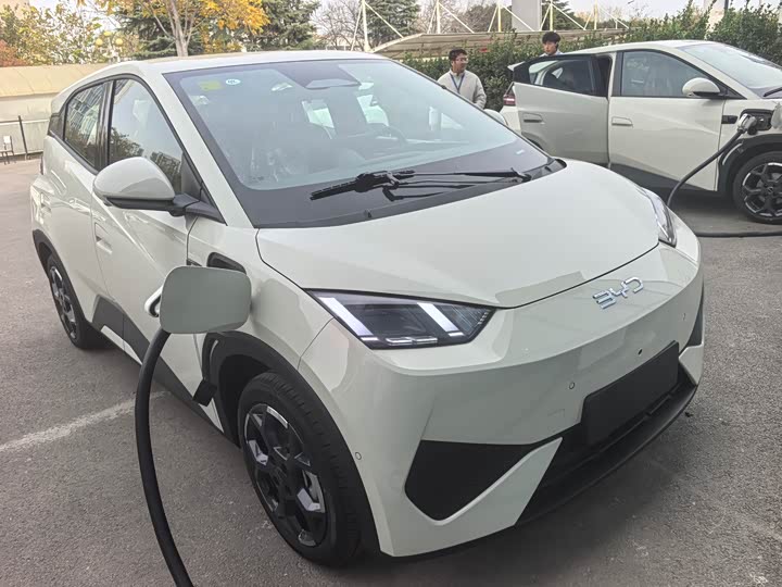 Фото 1 - BYD Seagull