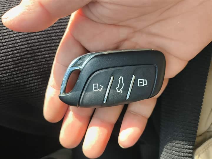 Фото 9 - Roewe RX5