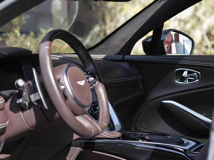 Фото 9 - Aston Martin DBX