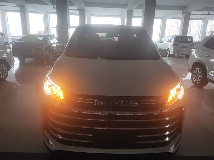 Фото 3 - Maxus G50