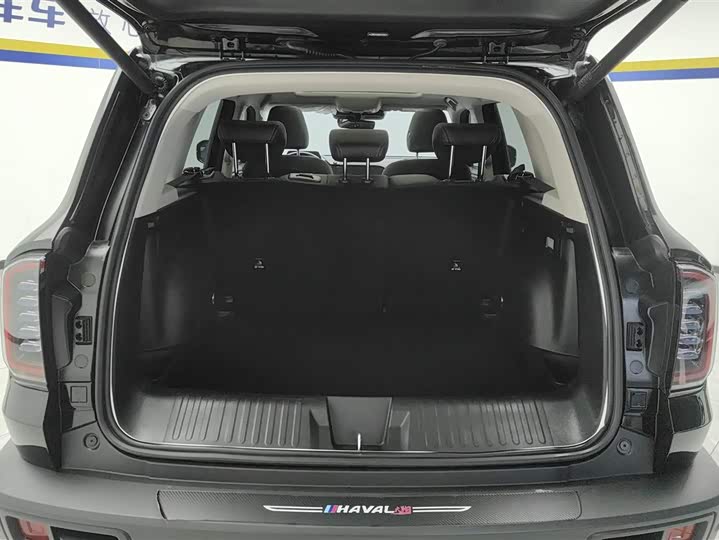 Фото 4 - Haval Dargo