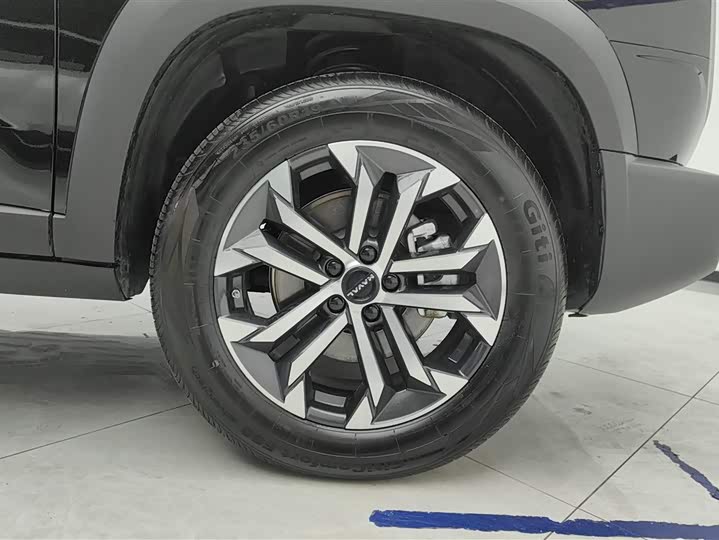 Фото 6 - Haval Dargo