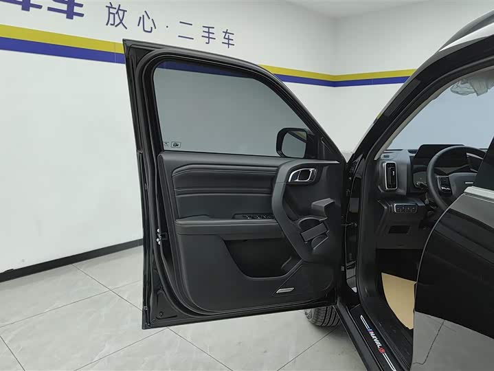 Фото 7 - Haval Dargo