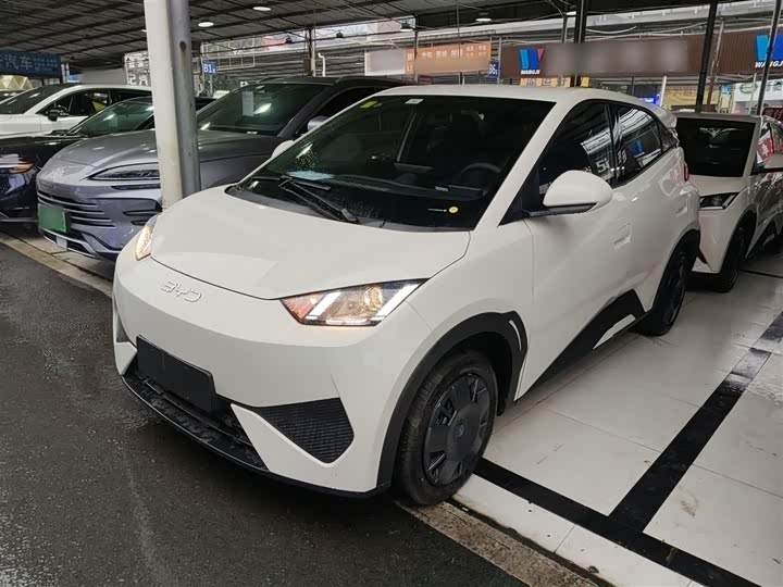 Фото 1 - BYD Seagull