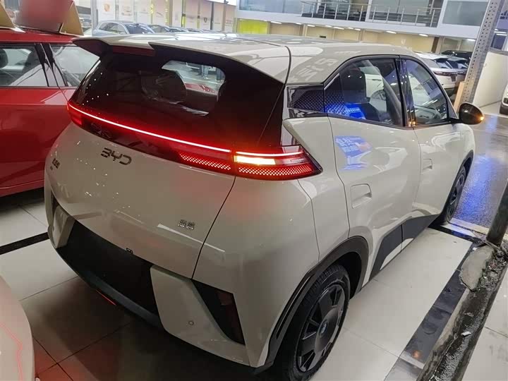 Фото 7 - BYD Seagull