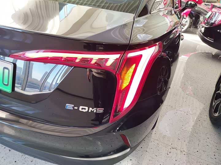 Фото 8 - Hongqi E-QM5