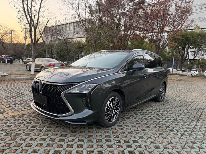 Фото 1 - Dongfeng Forthing Yacht