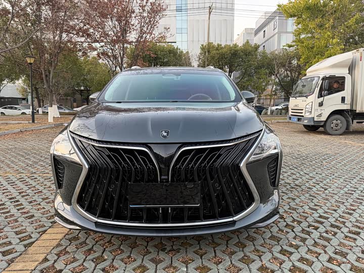 Фото 2 - Dongfeng Forthing Yacht