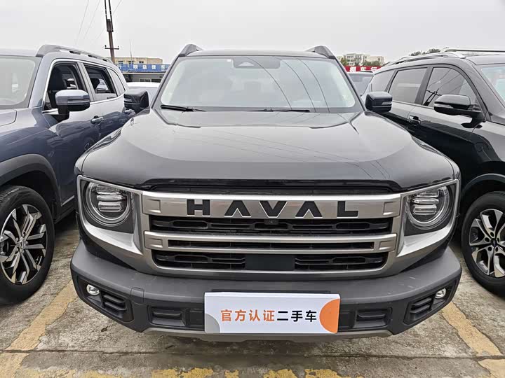 Фото 2 - Haval Dargo