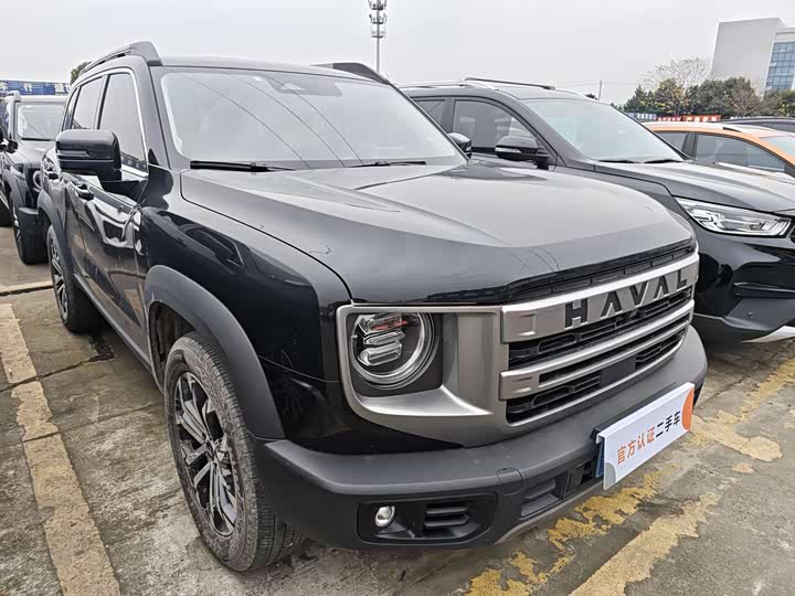 Фото 3 - Haval Dargo