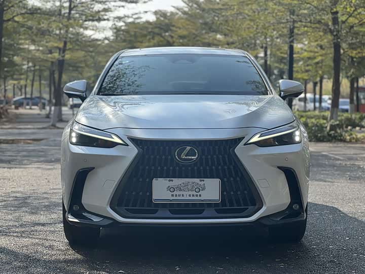 Фото 2 - Lexus NX