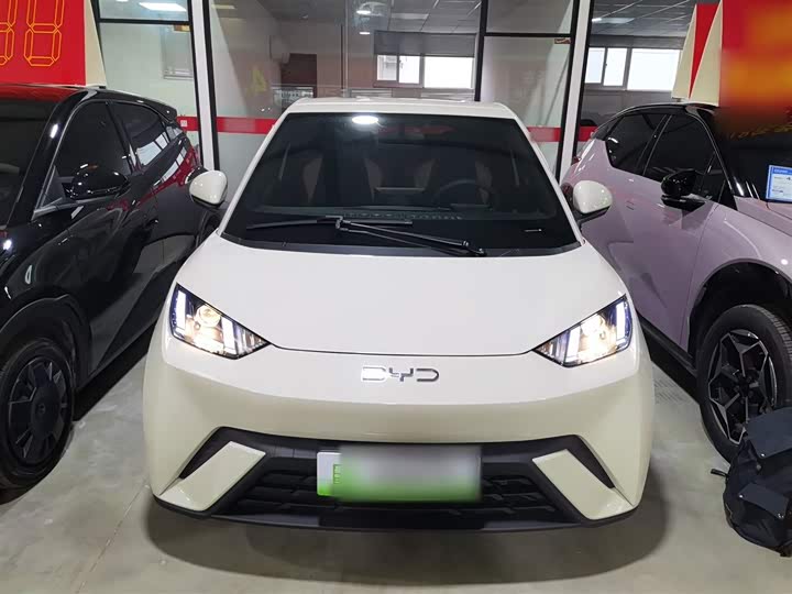 Фото 3 - BYD Seagull