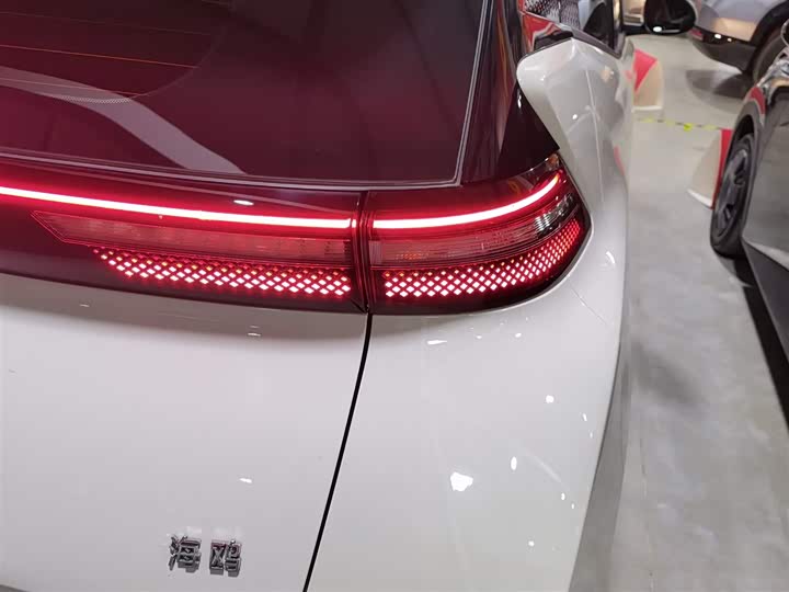 Фото 8 - BYD Seagull