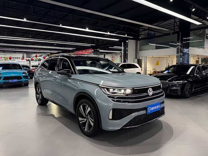 Фото 3 - Volkswagen Tavendor