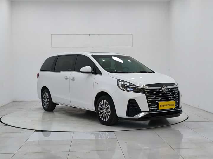 Фото 2 - Buick GL8 ES