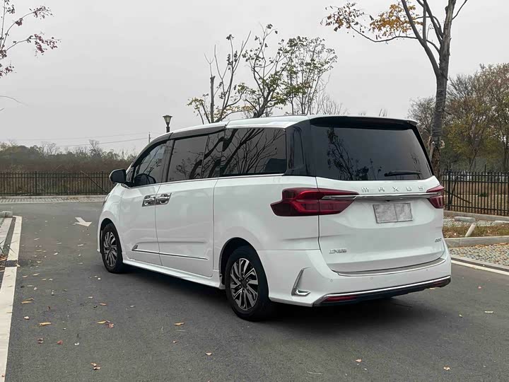 Фото 2 - Maxus G20