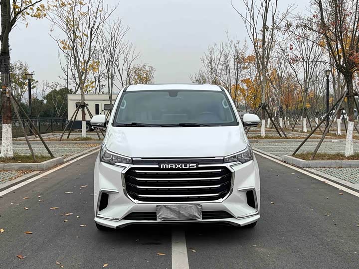 Фото 3 - Maxus G20