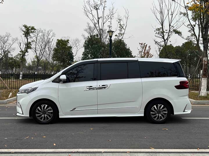 Фото 4 - Maxus G20