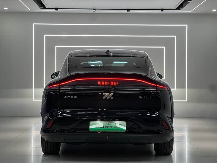 Фото 5 - IM motors LS6