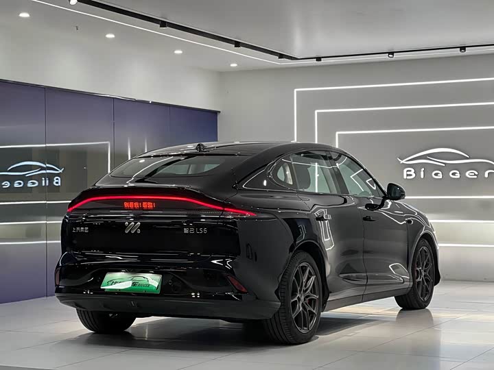 Фото 7 - IM motors LS6