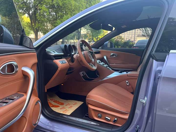 Фото 9 - Ora Lightning Cat (07)