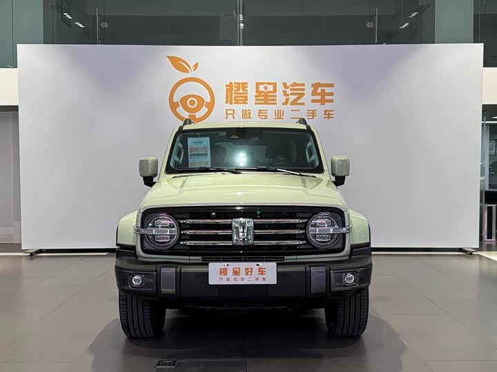 Фото 2 - Tank 300