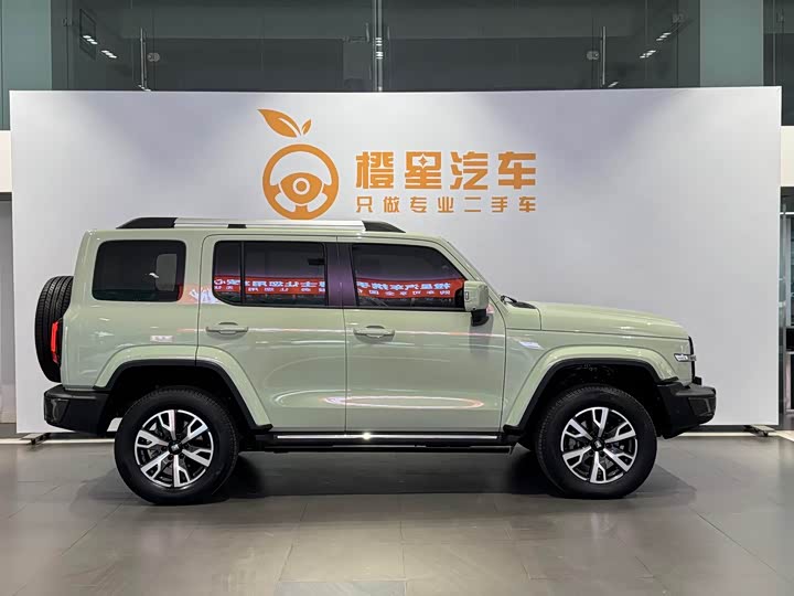 Фото 4 - Tank 300