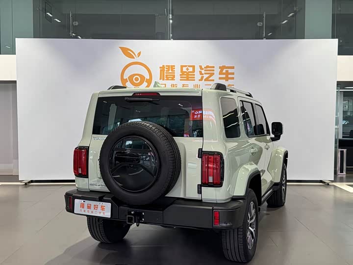 Фото 5 - Tank 300