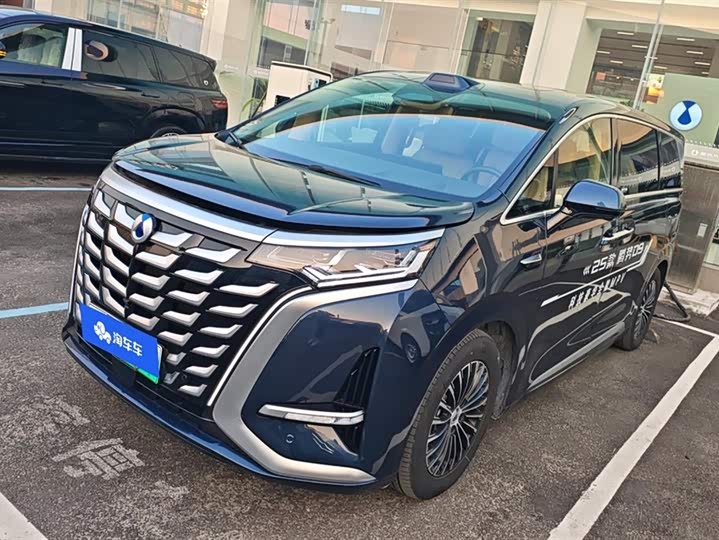 Фото 1 - Denza D9