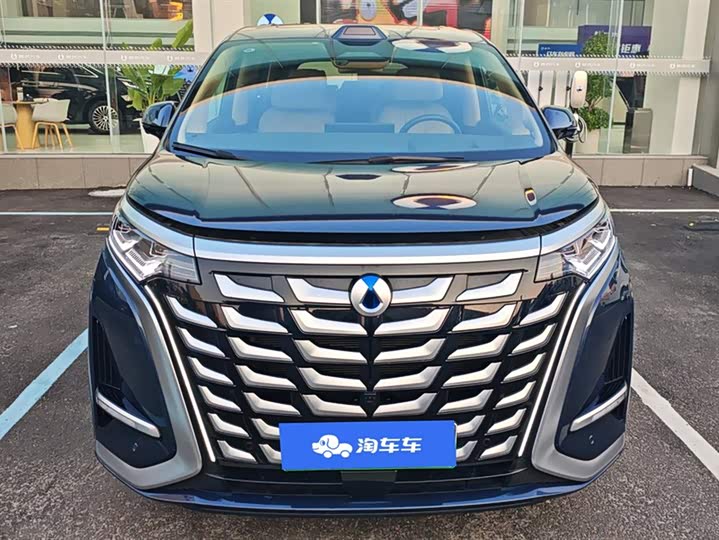 Фото 2 - Denza D9