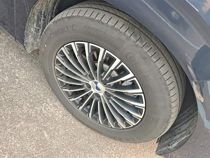 Фото 6 - Denza D9