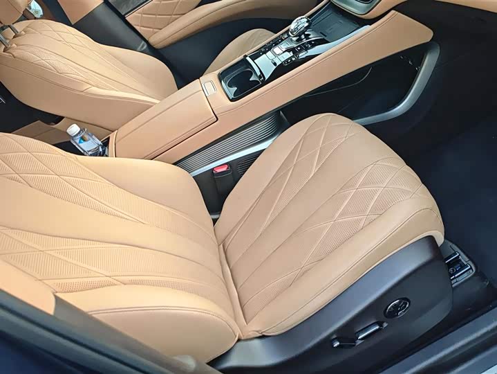 Фото 8 - Denza D9