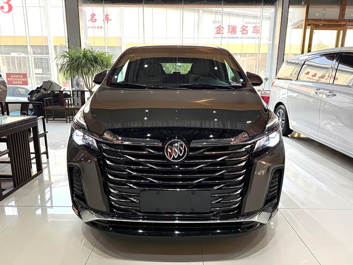 Фото 2 - Buick GL8 ES