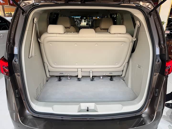 Фото 9 - Buick GL8 ES