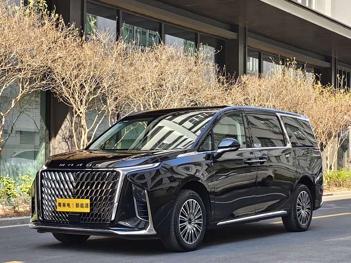 Фото 1 - Maxus Mifa 9