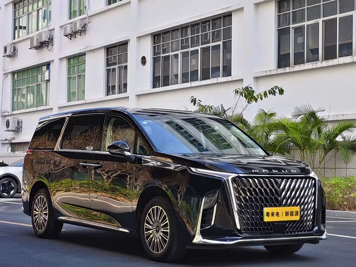 Фото 3 - Maxus Mifa 9