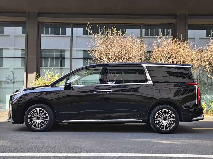 Фото 4 - Maxus Mifa 9