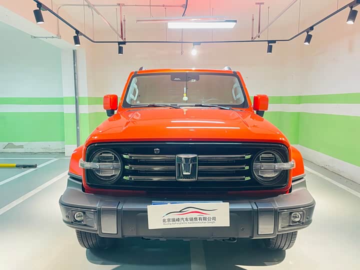 Фото 2 - Tank 300