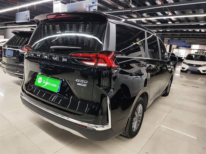 Фото 7 - Maxus G50