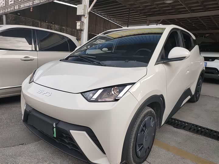 Фото 1 - BYD Seagull