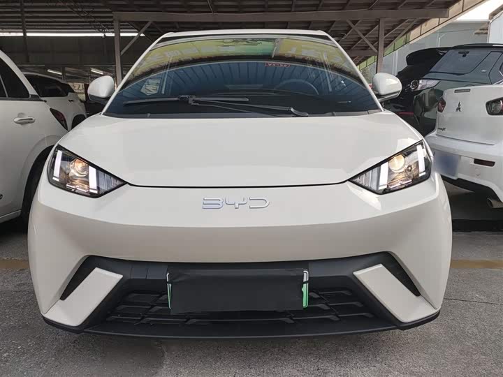 Фото 3 - BYD Seagull